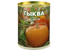 pumpkin.jpg