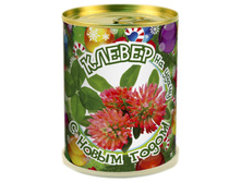 klever.jpg
