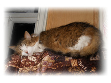 DSCN4185.JPG