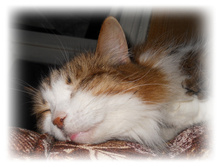 DSCN4189.JPG