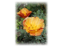 DSCN4192.JPG
