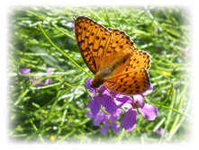 DSCN4221.JPG