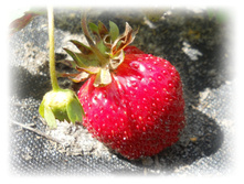 DSCN4226.JPG