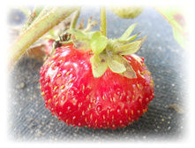 DSCN4228.JPG