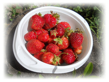 DSCN4234.JPG