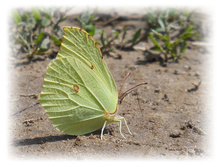 DSCN4242.JPG