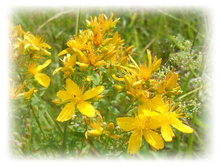 DSCN4248.JPG