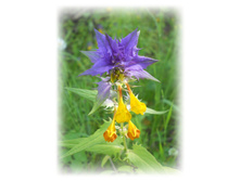 DSCN4258.JPG