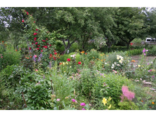 26.01.2010 17:12:12
