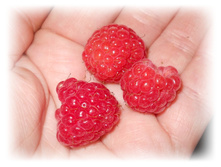 DSCN4293.JPG