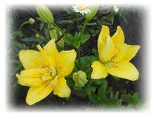 DSCN4310.JPG