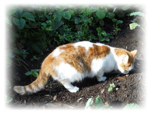 DSCN4313.JPG