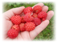 DSCN4322.JPG