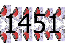 1451.jpg