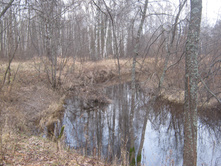 2012-11-24_11-34-24.jpg