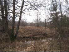 2012-11-24_12-10-20.jpg