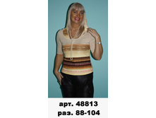 48813 .jpg
