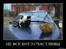 29.01.2010 16:52:12