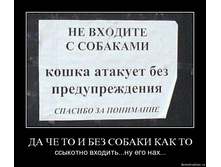 29.01.2010 16:55:22