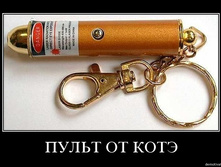 29.01.2010 16:55:27