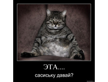 29.01.2010 16:55:36