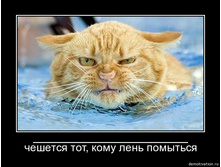 29.01.2010 16:55:37