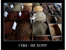 29.01.2010 16:55:46