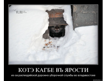 29.01.2010 16:56:08