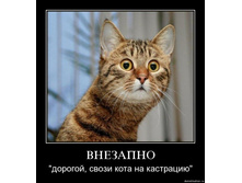 29.01.2010 16:56:13