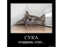 29.01.2010 16:56:16