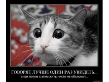 29.01.2010 16:56:18