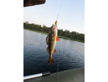 IMG_0084.JPG