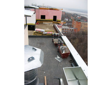 IMG_6460_.jpg