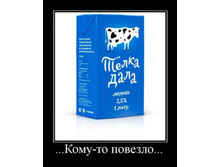 30.01.2010 11:28:31