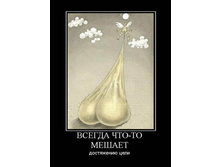 30.01.2010 11:28:37