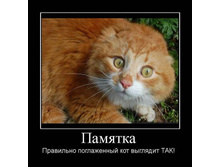 30.01.2010 11:28:44