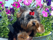 16.07.2010 064.jpg