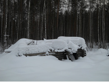 DSCN0957s.JPG