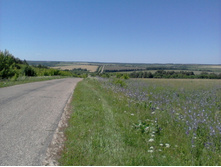 ����-0083.jpg