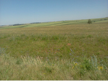 ����-0086.jpg