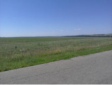 ����-0087.jpg