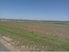 ����-0092.jpg