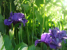 DSC04755.JPG