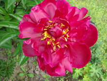 DSC04838.JPG