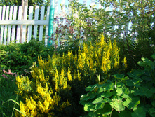 DSC04850.JPG
