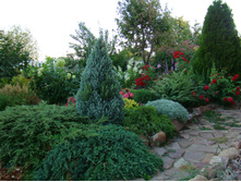 DSC05317.JPG