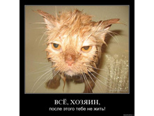 02.02.2010 4:54:38