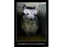 02.02.2010 4:55:59