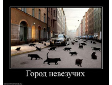 02.02.2010 4:56:02