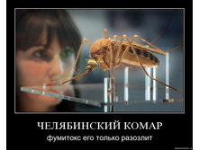 02.02.2010 4:56:06
